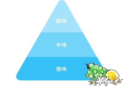 TOP/MIDDLE/END
